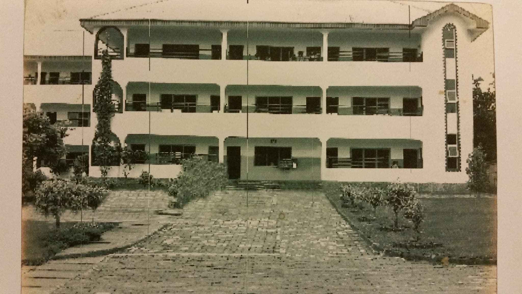 Gallery image 7