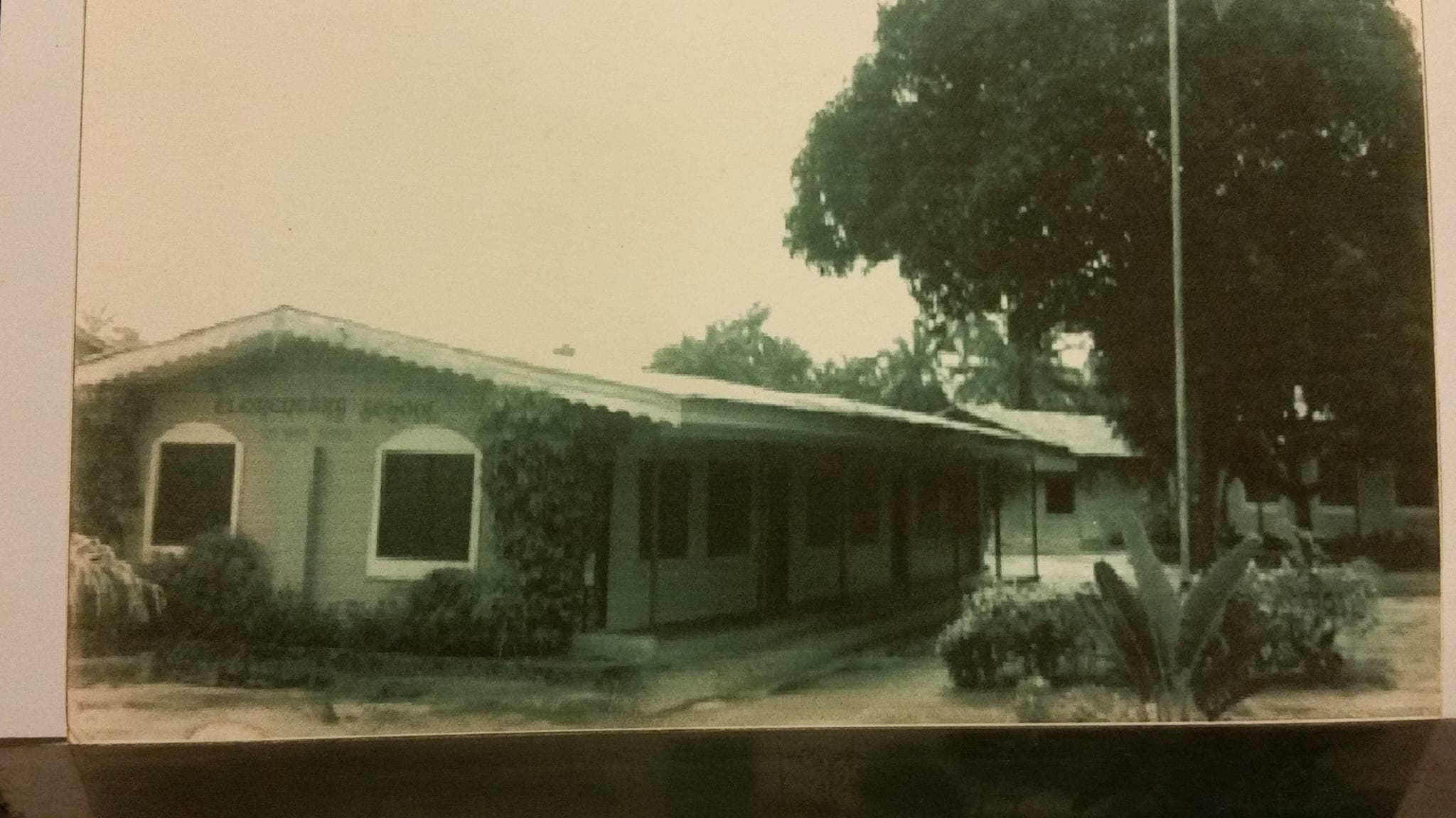 Gallery image 30